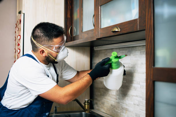 Trusted Lemoyne, PA Pest Control Experts