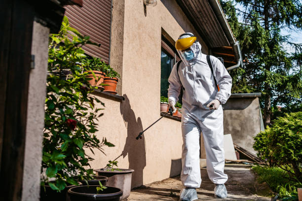 Best Wildlife Control Services  in Lemoyne, PA