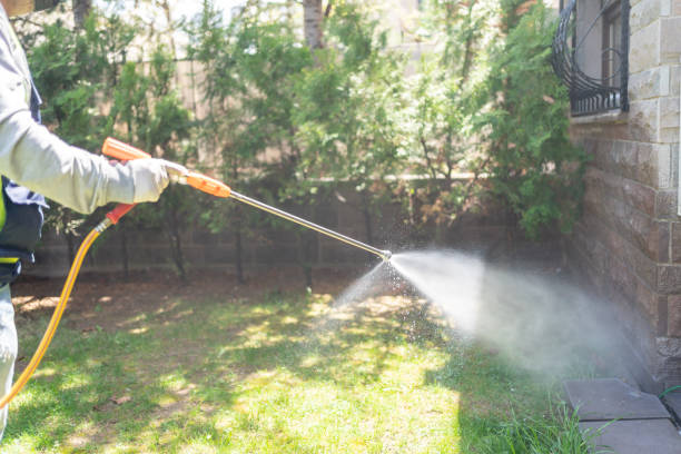 Spider Control Near Me in Lemoyne, PA